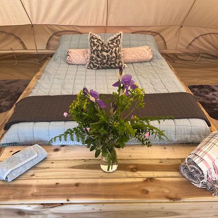 Bluebell Tent At Ballyward Croft Ardkeen ภายนอก รูปภาพ