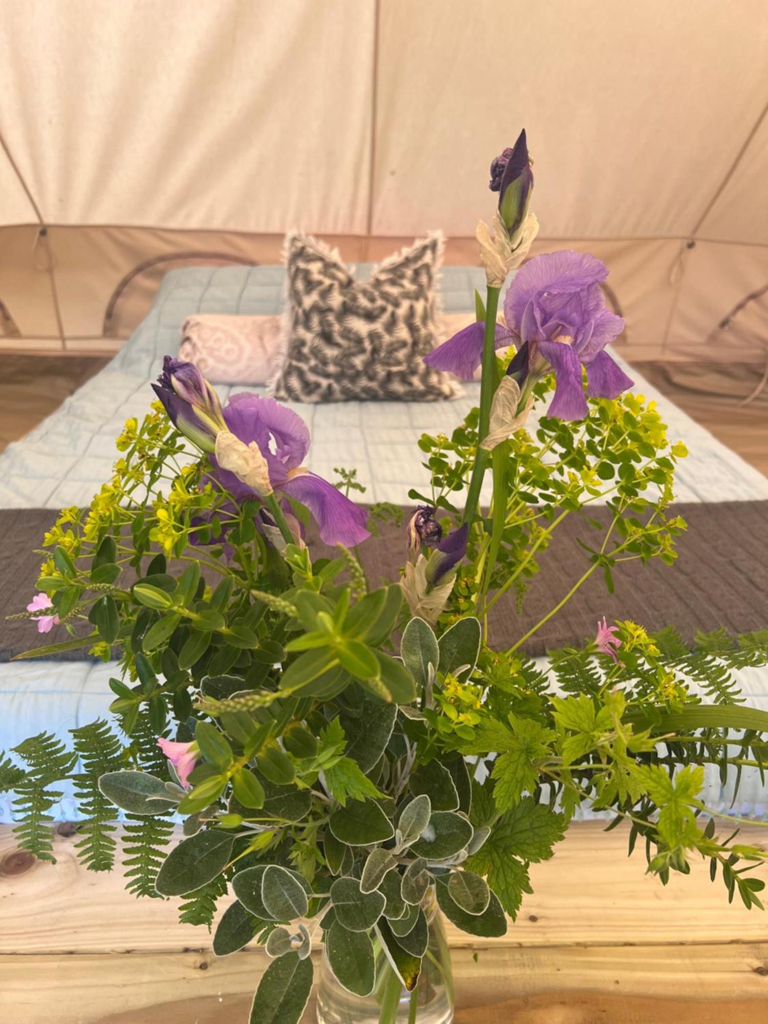 Bluebell Tent At Ballyward Croft Ardkeen ภายนอก รูปภาพ